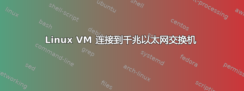 Linux VM 连接到千兆以太网交换机