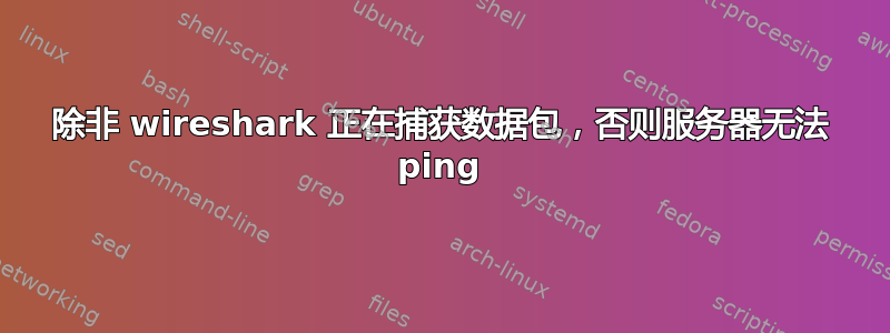 除非 wireshark 正在捕获数据包，否则服务器无法 ping