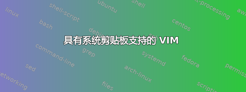 具有系统剪贴板支持的 VIM