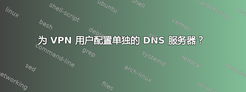 为 VPN 用户配置单独的 DNS 服务器？