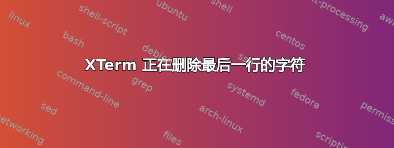 XTerm 正在删除最后一行的字符