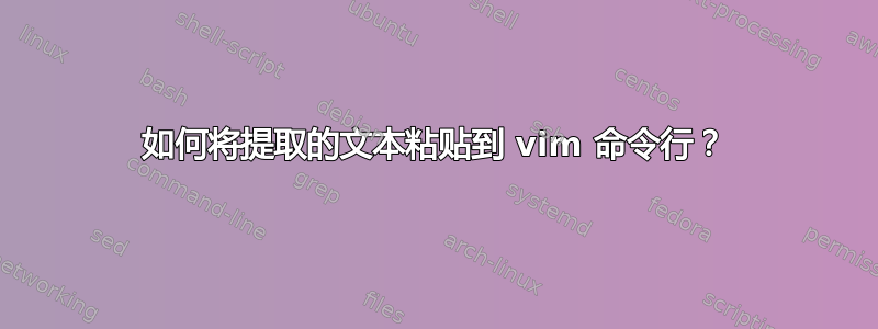 如何将提取的文本粘贴到 vim 命令行？