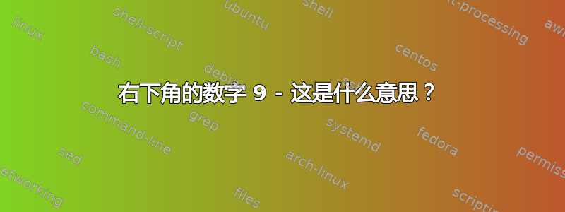 右下角的数字 9 - 这是什么意思？