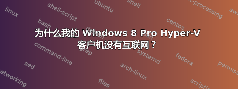 为什么我的 Windows 8 Pro Hyper-V 客户机没有互联网？