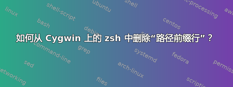 如何从 Cygwin 上的 zsh 中删除“路径前缀行”？