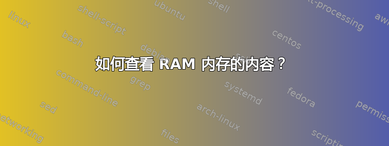 如何查看 RAM 内存的内容？