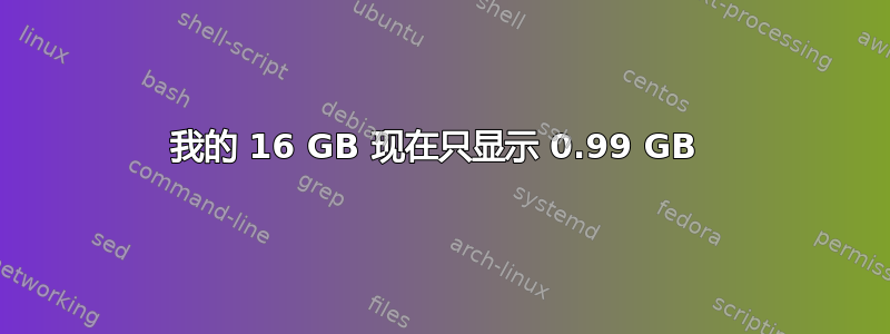 我的 16 GB 现在只显示 0.99 GB 