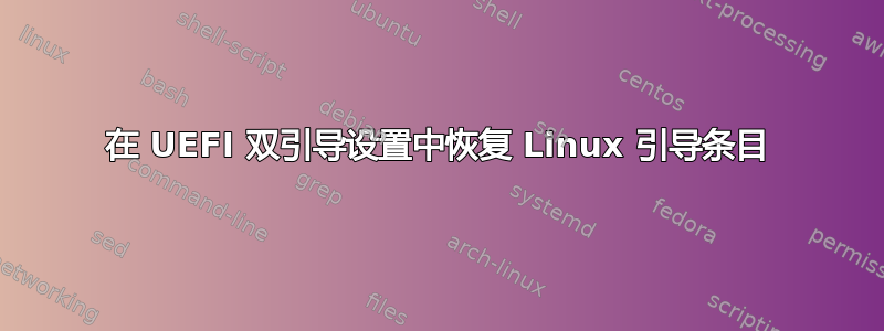 在 UEFI 双引导设置中恢复 Linux 引导条目