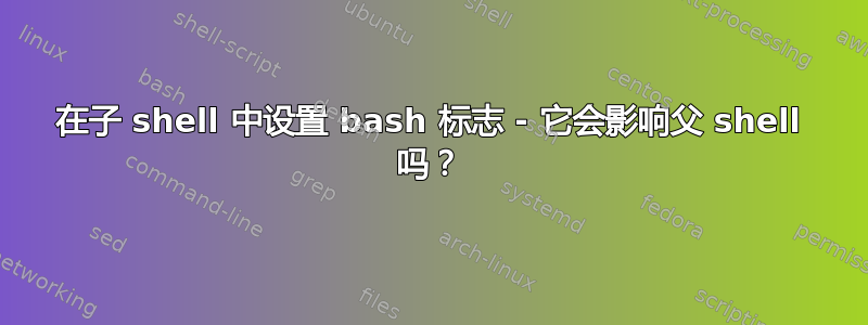 在子 shell 中设置 bash 标志 - 它会影响父 shell 吗？