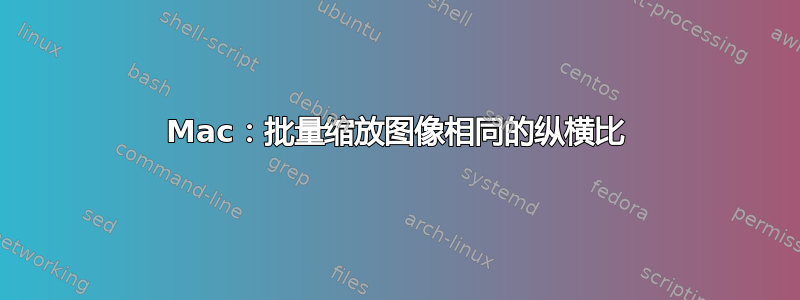 Mac：批量缩放图像相同的纵横比