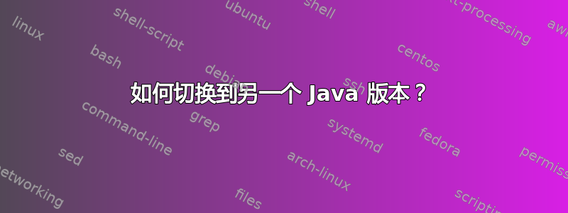 如何切换到另一个 Java 版本？