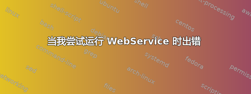 当我尝试运行 WebService 时出错