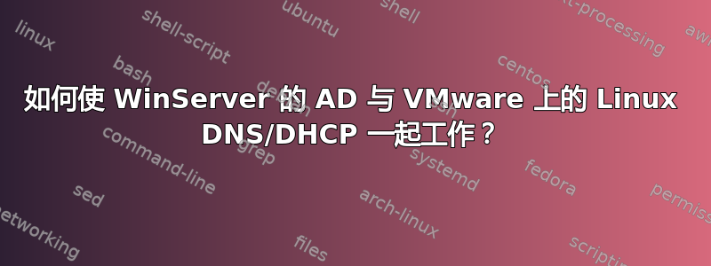 如何使 WinServer 的 AD 与 VMware 上的 Linux DNS/DHCP 一起工作？