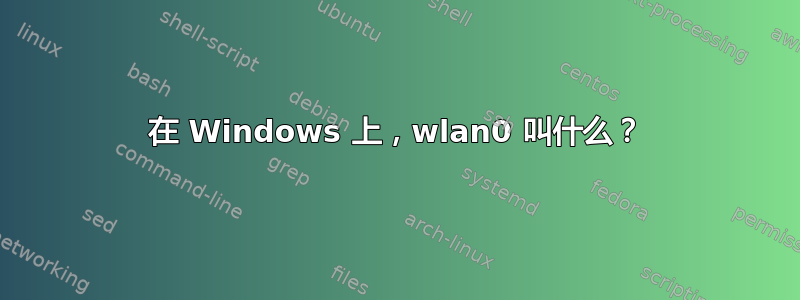 在 Windows 上，wlan0 叫什么？