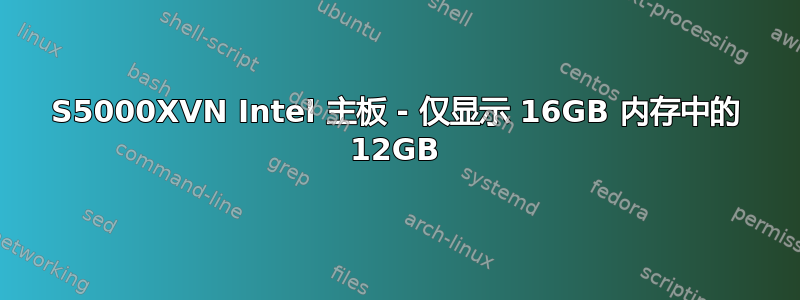 S5000XVN Intel 主板 - 仅显示 16GB 内存中的 12GB