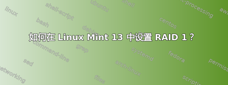 如何在 Linux Mint 13 中设置 RAID 1？