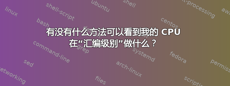 有没有什么方法可以看到我的 CPU 在“汇编级别”做什么？