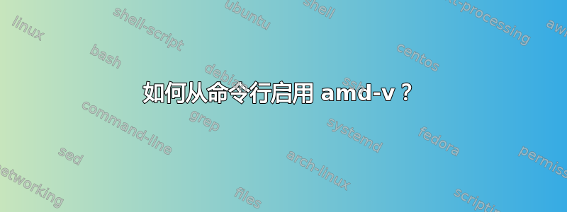 如何从命令行启用 amd-v？