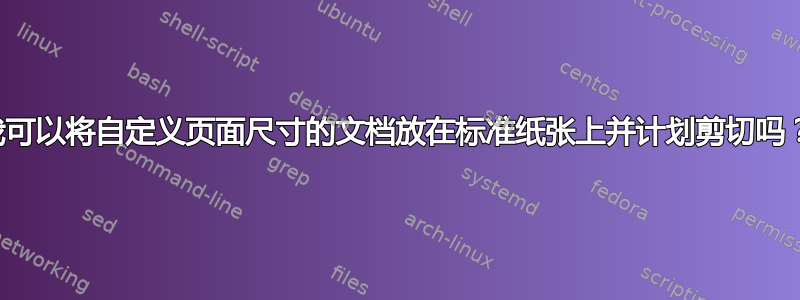 我可以将自定义页面尺寸的文档放在标准纸张上并计划剪切吗？