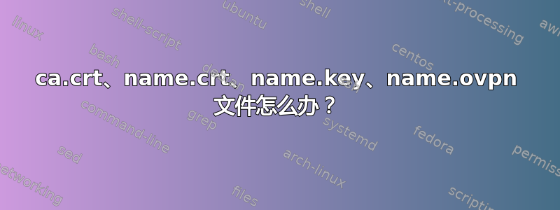 ca.crt、name.crt、name.key、name.ovpn 文件怎么办？