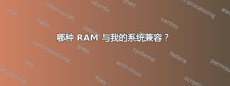 哪种 RAM 与我的系统兼容？