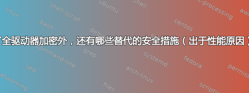 除了全驱动器加密外，还有哪些替代的安全措施（出于性能原因）？