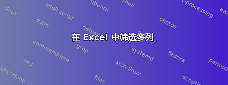 在 Excel 中筛选多列