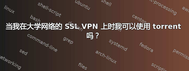 当我在大学网络的 SSL VPN 上时我可以使用 torrent 吗？