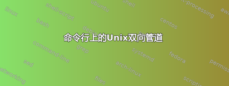 命令行上的Unix双向管道