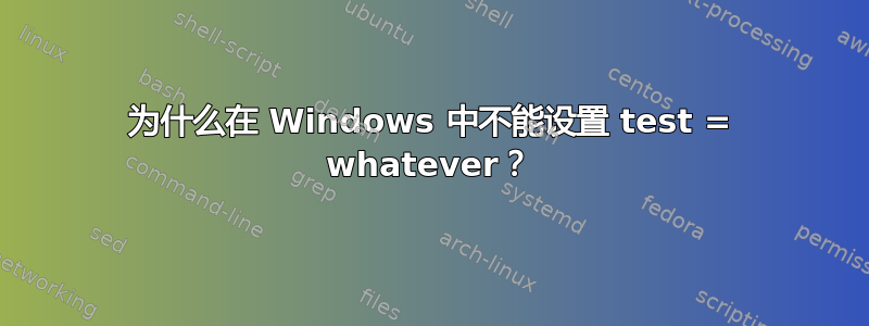 为什么在 Windows 中不能设置 test = whatever？