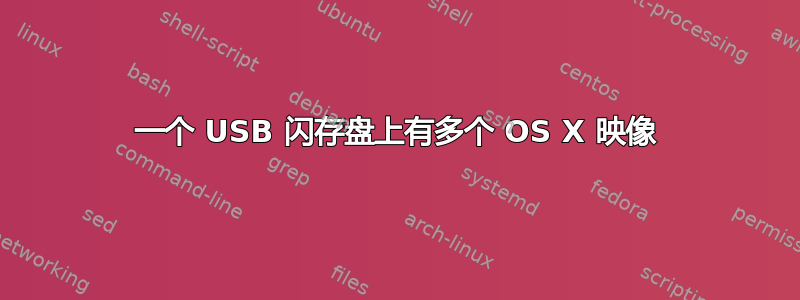 一个 USB 闪存盘上有多个 OS X 映像