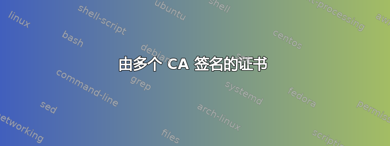 由多个 CA 签名的证书