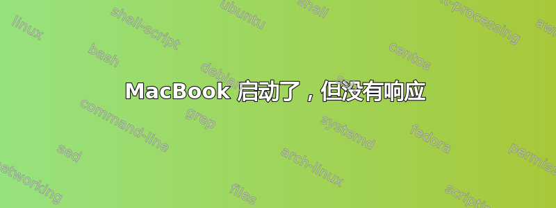 MacBook 启动了，但没有响应