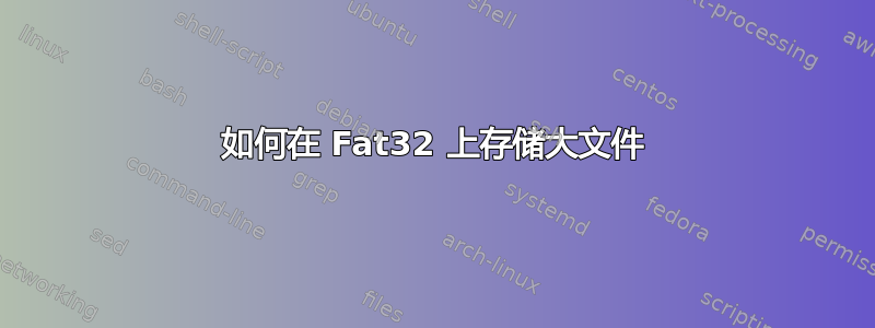 如何在 Fat32 上存储大文件