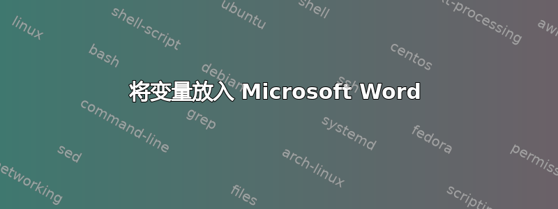 将变量放入 Microsoft Word