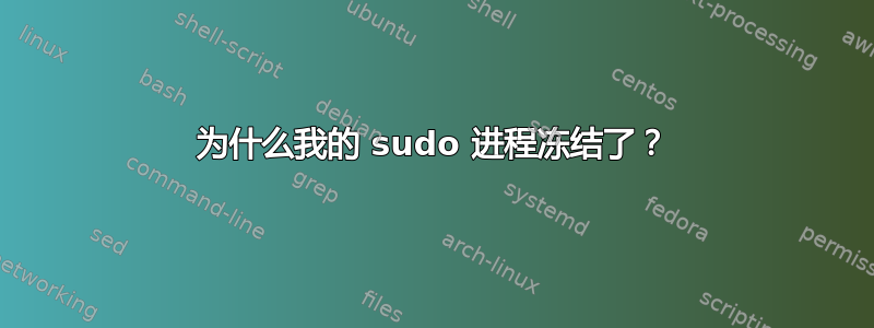 为什么我的 sudo 进程冻结了？