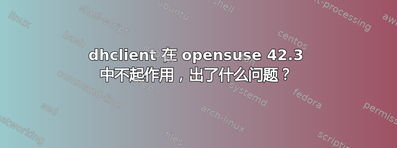 dhclient 在 opensuse 42.3 中不起作用，出了什么问题？