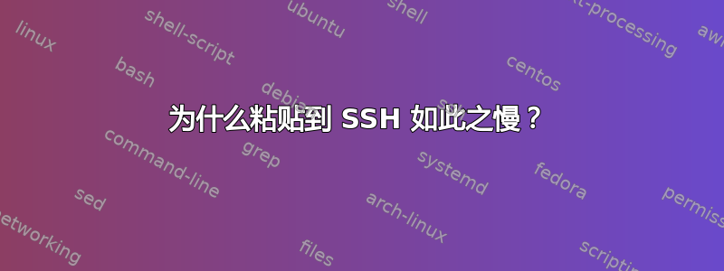 为什么粘贴到 SSH 如此之慢？