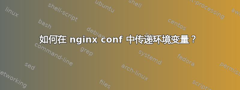 如何在 nginx conf 中传递环境变量？