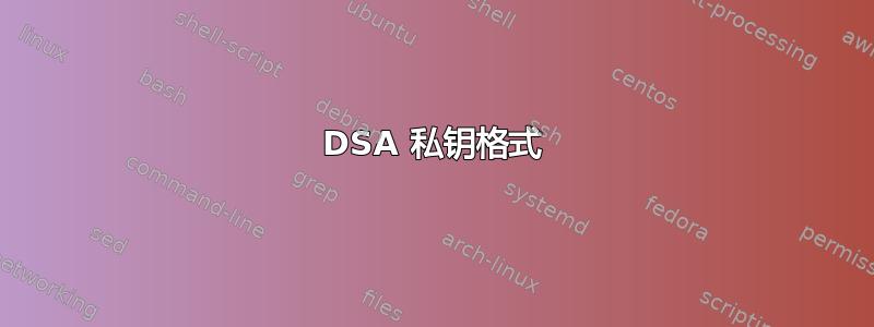 DSA 私钥格式