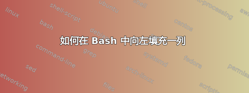 如何在 Bash 中向左填充一列