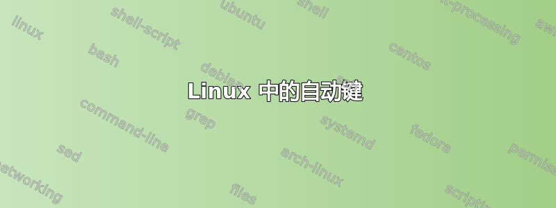 Linux 中的自动键