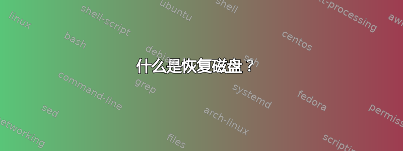 什么是恢复磁盘？ 