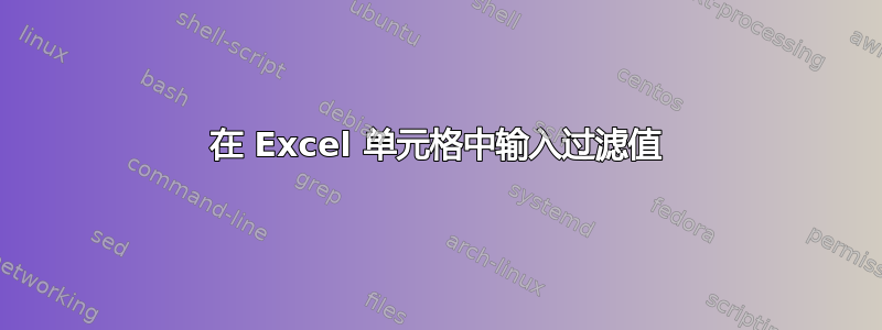 在 Excel 单元格中输入过滤值