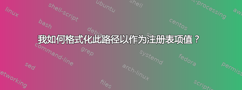 我如何格式化此路径以作为注册表项值？