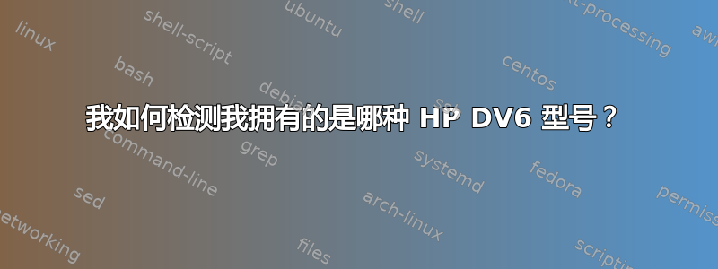 我如何检测我拥有的是哪种 HP DV6 型号？