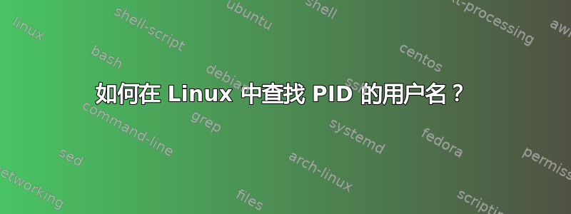 如何在 Linux 中查找 PID 的用户名？