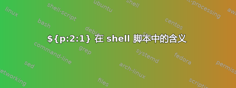 ${p:2:1} 在 shell 脚本中的含义