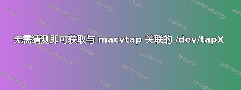 无需猜测即可获取与 macvtap 关联的 /dev/tapX