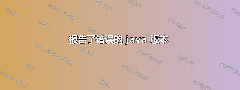 报告了错误的 java 版本